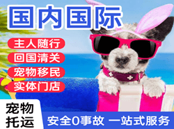 天津航空物流国际宠物托运 【国
